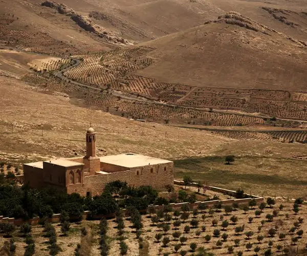 Başlık yok